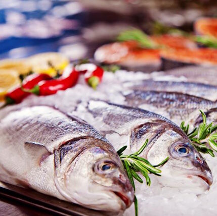 Produkte für Fischkühlung