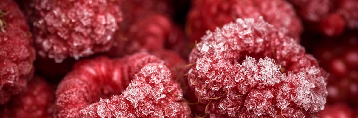 Produktinformation für Schockfroster & Schnellkühler