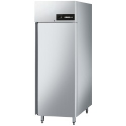 Edelstahl Tiefkühlschrank GN 2/1 STAR BR 650
