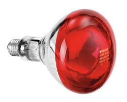 Leuchtmittel Infrarotlampe für IWL250D