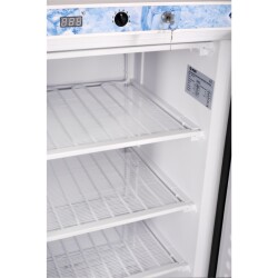 Tiefkühlschrank 602 TK