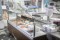 Fischtheke Kubus 1956 Fisch