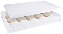 Pizzaballenbehälter weiß 600 x 400 mm