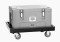Transportwagen TBGN110