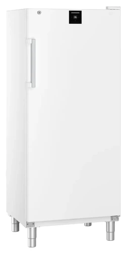 Gastro Gefrier-Lagerschrank Statische Kühlung FFFsg 5501