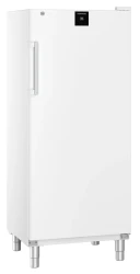Gastro Gefrier-Lagerschrank Statische Kühlung FFFsg...