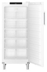 Gastro Gefrier-Lagerschrank Statische Kühlung FFFsg 5501