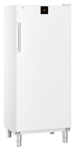 Gewerbetiefkühlschrank TK 550 W