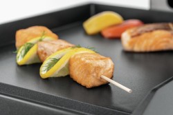 Kontaktgrill DT 2000 1G