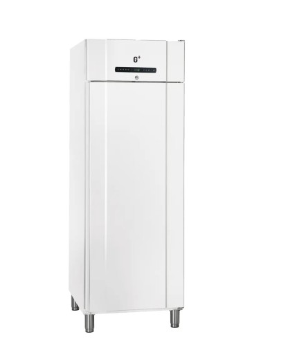 Kühlschrank weiß COMPACT R600 G W