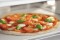 Elektro Pizzaofen ST415-2