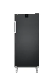 Gastronomie Gefrier-Lagerschrank Umluftkühlung FFFBvg 5501