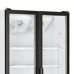 Glastür-Kühlschrank 2-türig FS890H