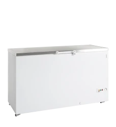 Eiscreme-Gefriertruhe FR505S SL