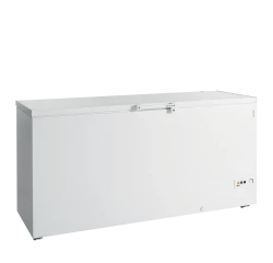 Eiscreme-Gefriertruhe FR605 SL