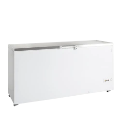 Eiscreme-Gefriertruhe FR605S SL