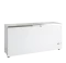 Eiscreme-Gefriertruhe FR605S SL