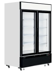 Tiefkühlschrank mit 2 Glastüren & Display...