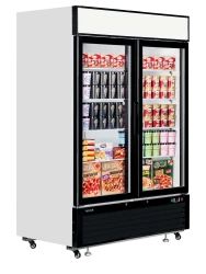 Tiefkühlschrank mit 2 Glastüren & Display...