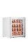 Tischgefrierschrank UF100G