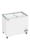 Eiscreme-Gefriertruhe mit Rollen IC302SC