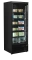 Gefrierschrank mit Glastür schwarz Atom Maxi F1DBB