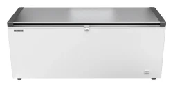 Gastronomie Gefrier-Lagertruhe Statische Kühlung EFL 6056