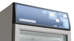 Gefrierschrank mit Glastür und Display Umluft FDvb 4643