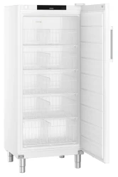 Gastronomie Gefrier-Lagerschrank Statische Kühlung...