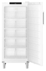 Gastronomie Gefrier-Lagerschrank Statische Kühlung FFFsg 5501