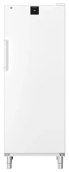 Gastronomie Gefrier-Lagerschrank Statische Kühlung FFFsg 6501