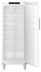 Gastronomie Gefrier-Lagerschrank Statische Kühlung FFFsg 6501