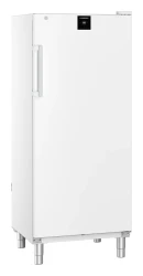 Gefrier-Lagerschrank Umluftkühlung FFFvg 5501...