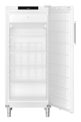 Gefrier-Lagerschrank Umluftkühlung FFFvg 5501 Performance