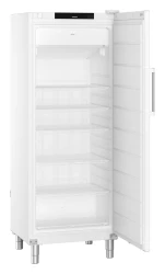 Gefrier-Lagerschrank Umluftkühlung FFFvg 6501 Performance