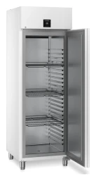 Gastro Gefrier-Lagerschrank Umluftkühlung FFPvg 6501