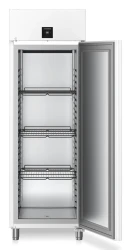 Gastro Gefrier-Lagerschrank Umluftkühlung FFPvg 6501