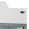 Supermarkt-Wandgefrierschrank MTF250