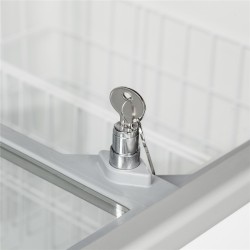 Eiscreme-Gefriertruhe IC201SC