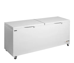 Eiscreme-Gefriertruhen CF701 SL