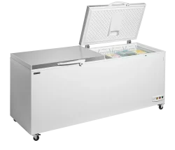 Eiscreme-Gefriertruhen CF701S SL