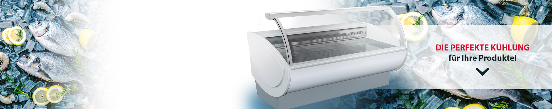 Theken f�r die optimale K�hlung 